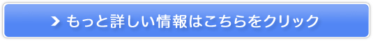 yT|[g[v~Az肪CɂȂւXXI̔TCg